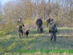 Hundetræning forår 2015